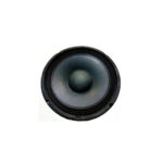 Parlante W-1015. Zkx