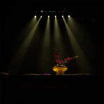 Pinspot Zoom. Tecshow - Imagen 5