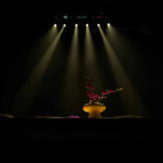 Pinspot ZOOM KIT X10U. Tecshow - Imagen 6